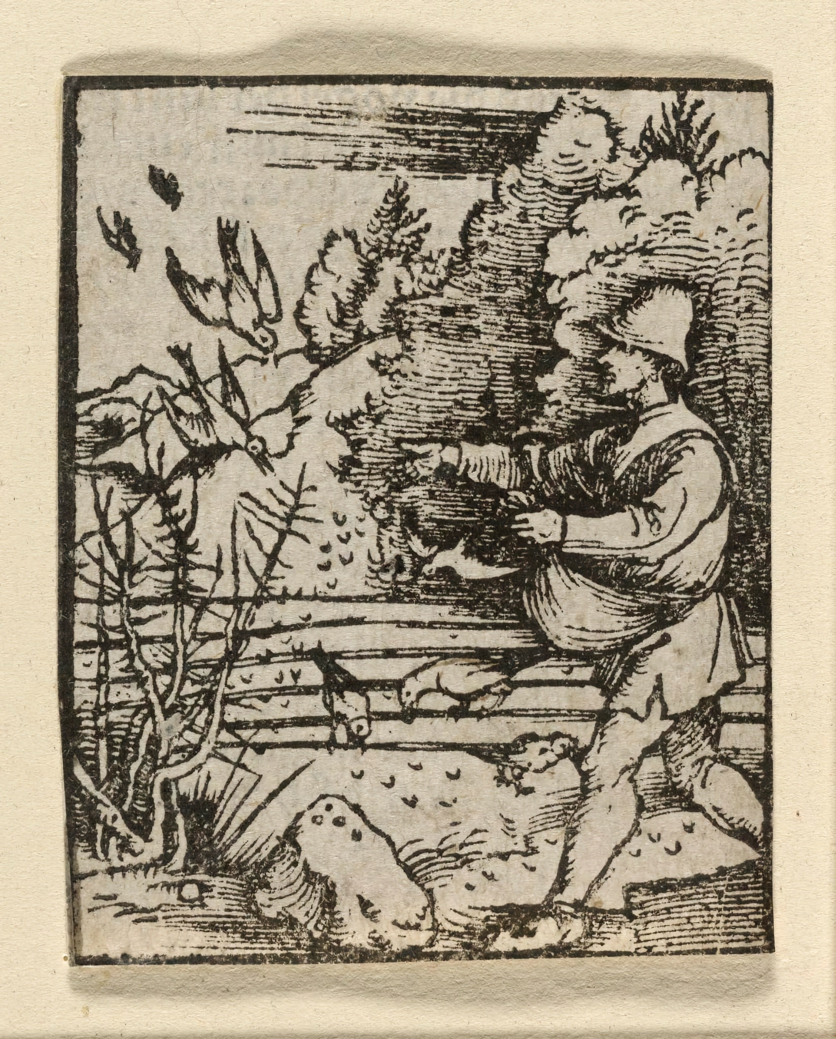 Knižní ilustrace (dřevoryt) pro nepublikované Plenárium nebo Postilla: Podobenství o rozsévači. Připisováno Albrechtu Dürerovi (asi 1503) | Zdroj Wikimedia Commons